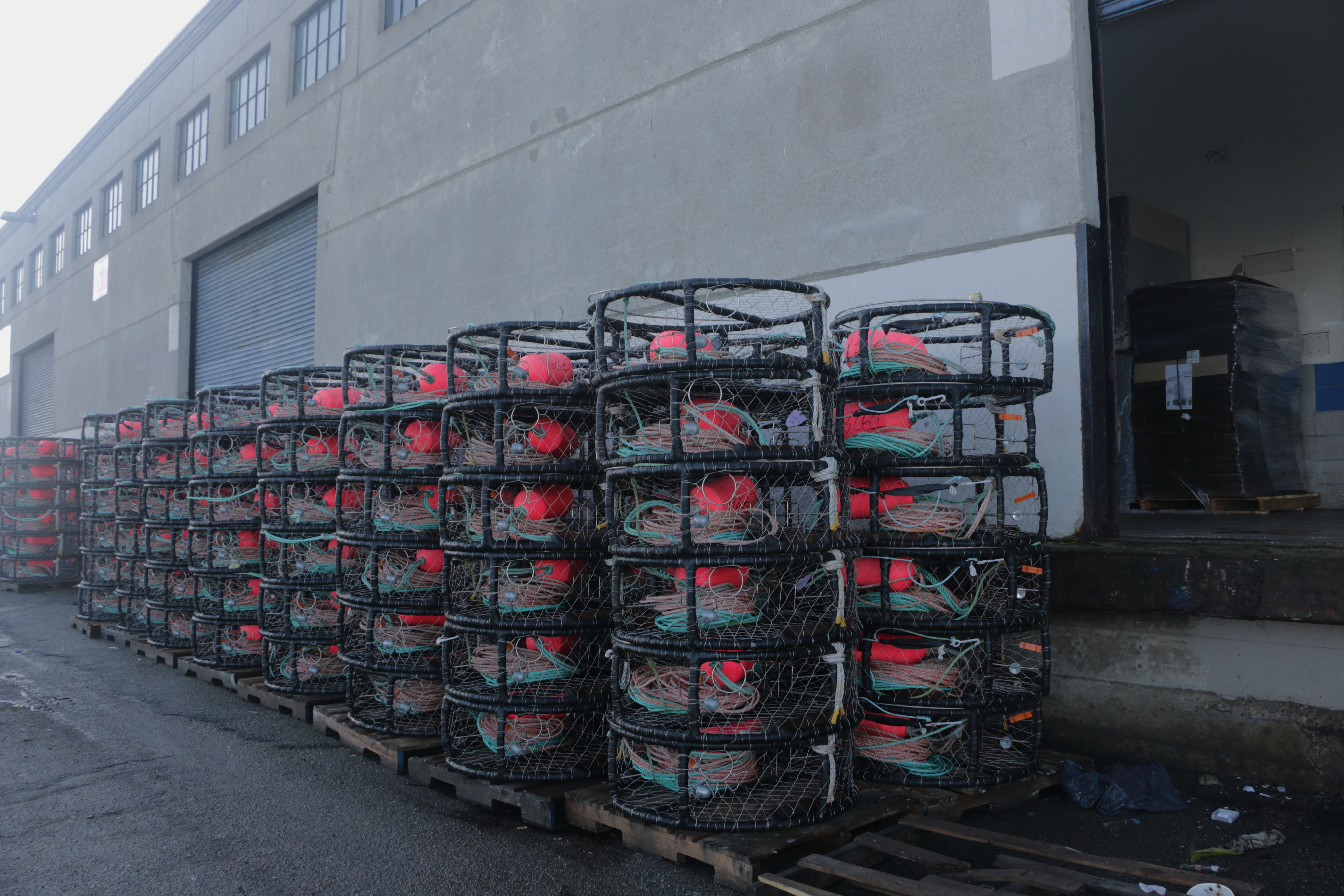 crabbing traps