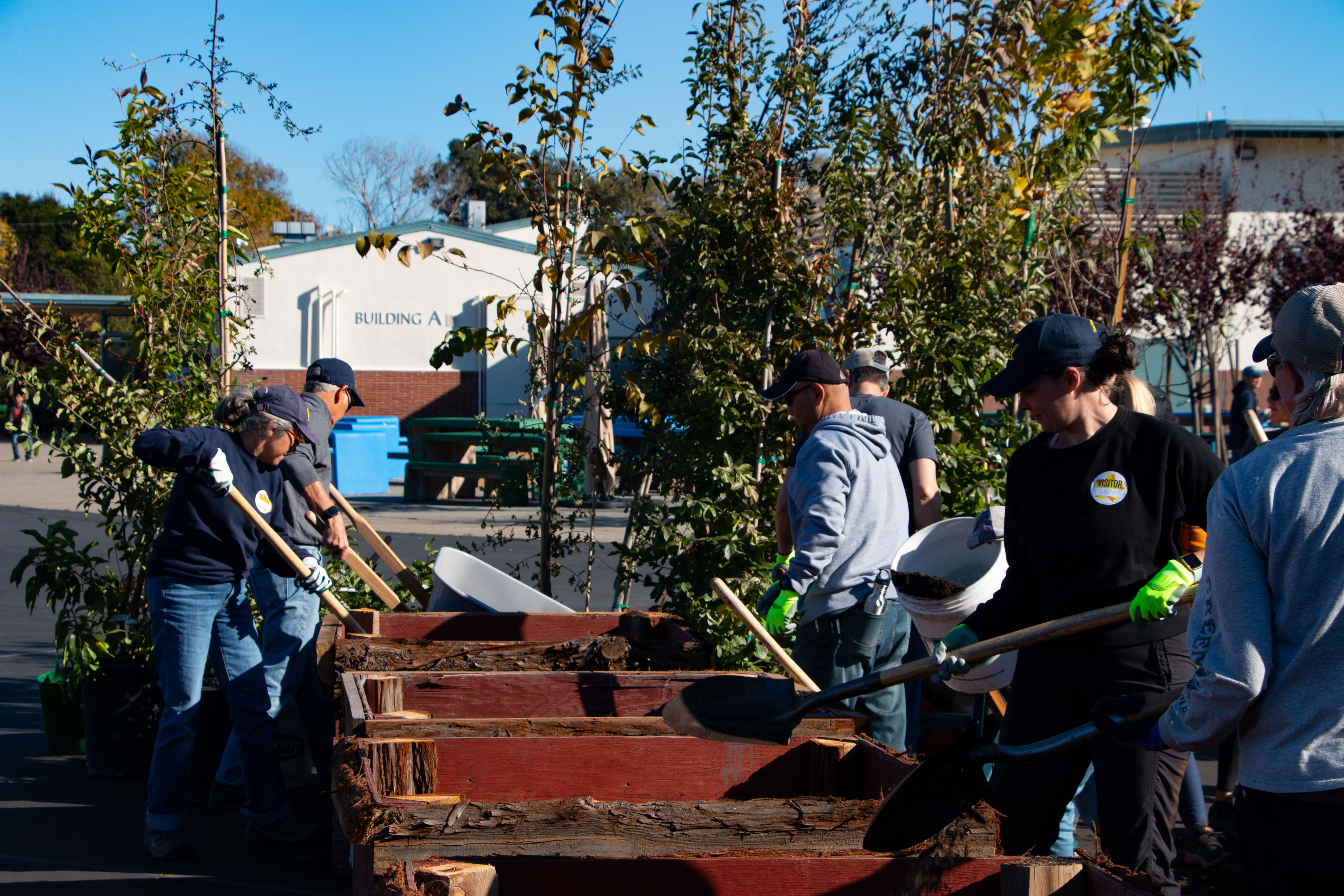 people planting trees