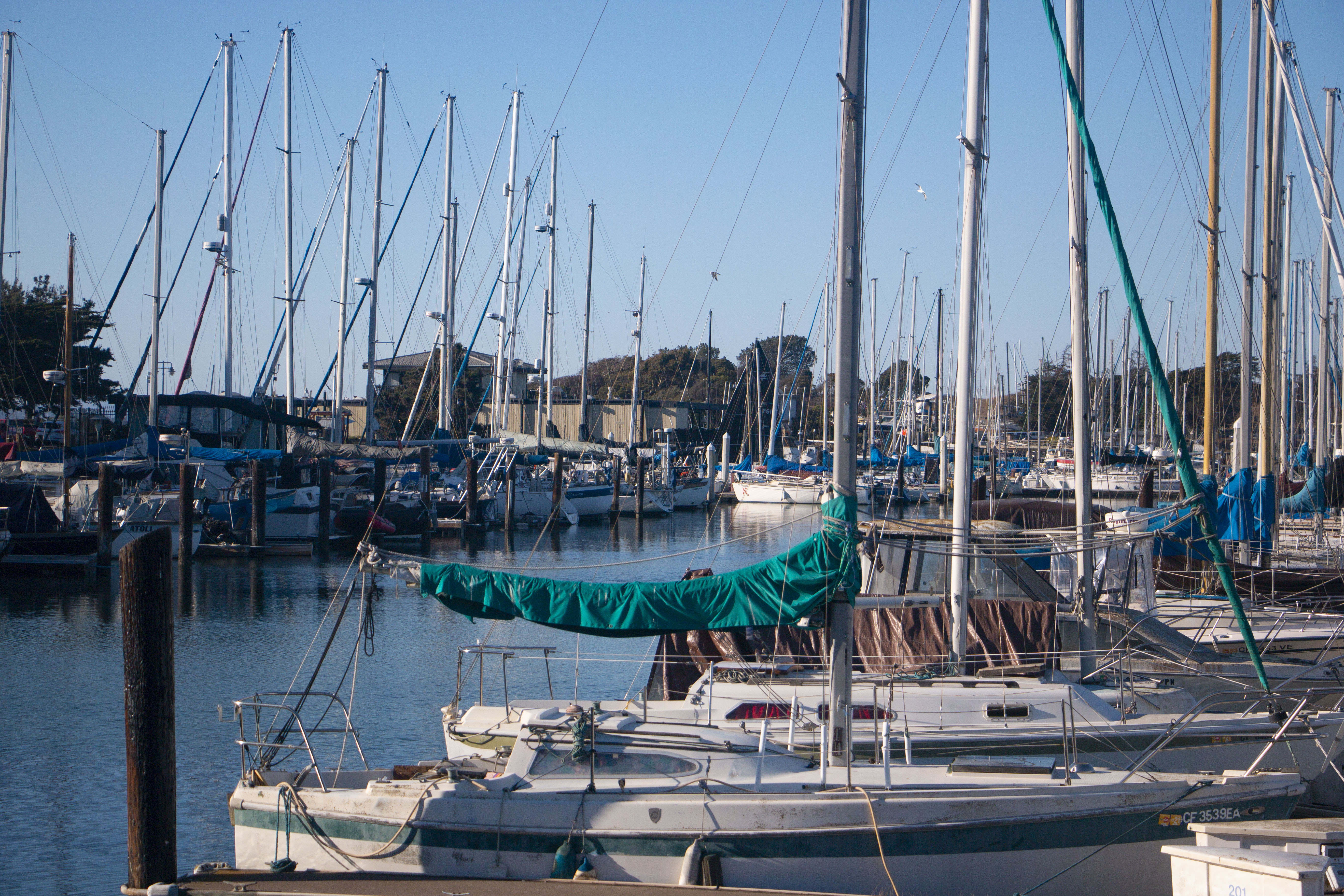 Dock M at Berkeley Marina, sailboats were parked there.