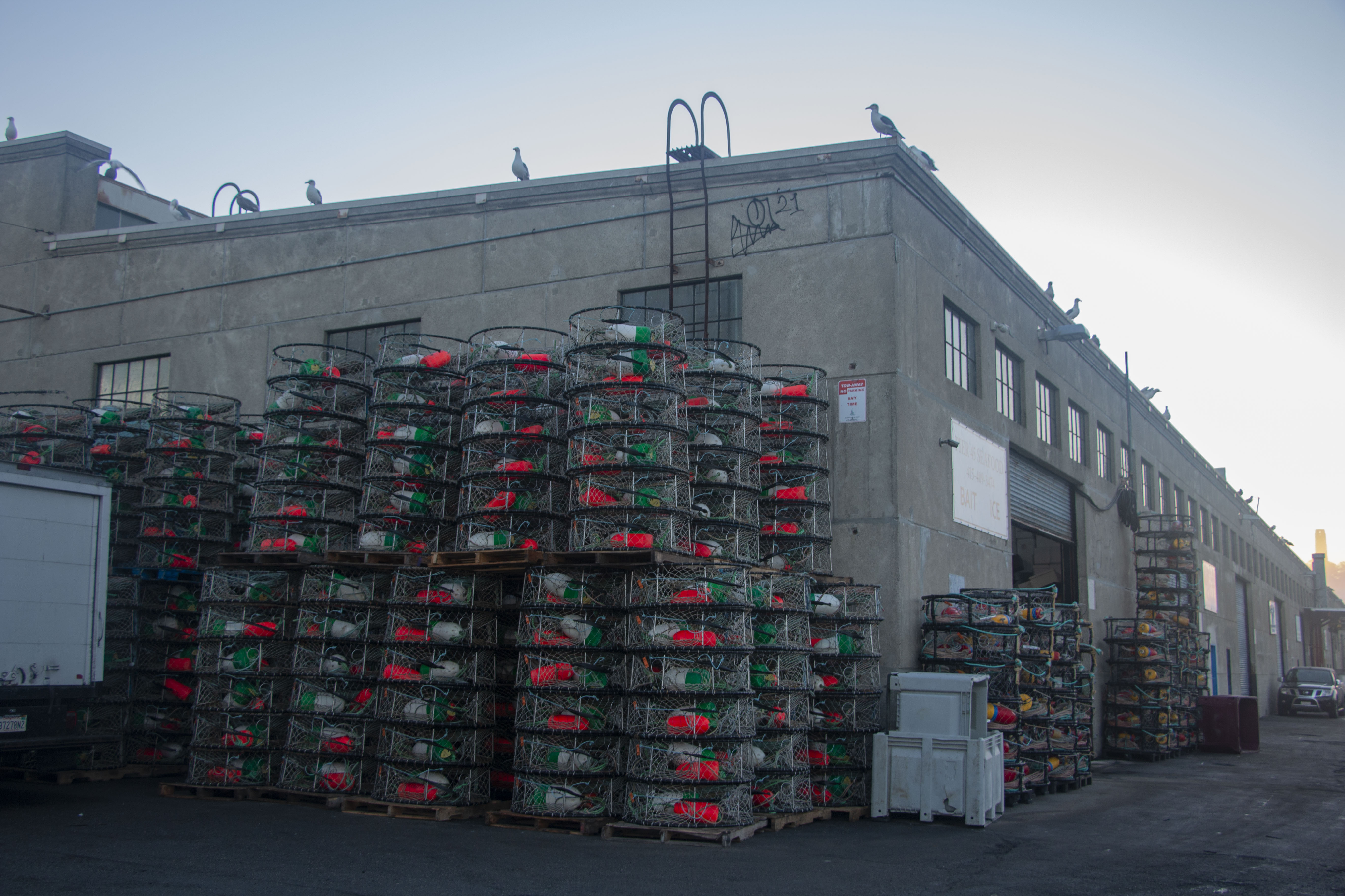 Crabbing traps are piled outside the warehouses in Pier 45