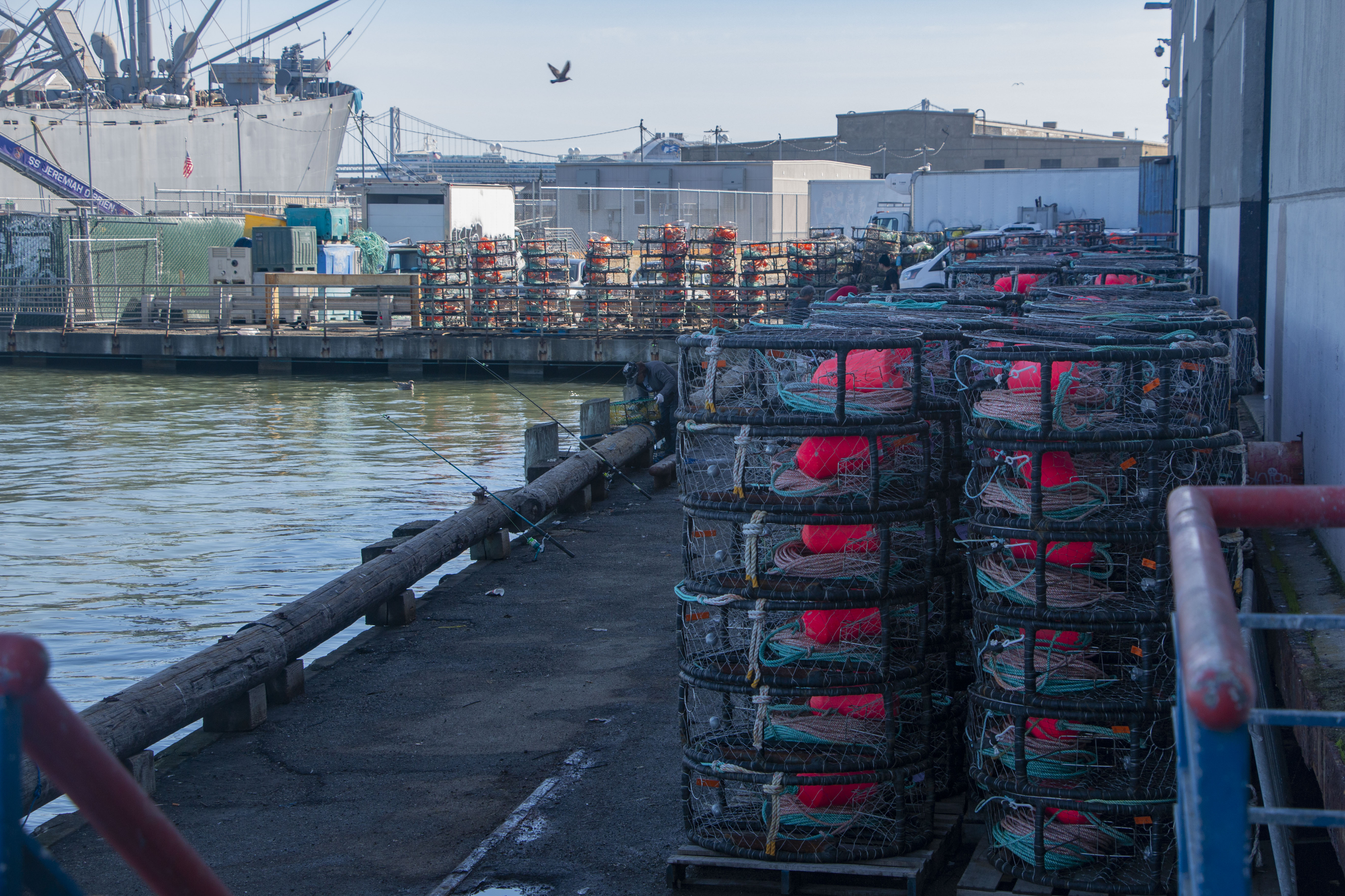 Crabbing traps are piled outside the warehouses in Pier 45