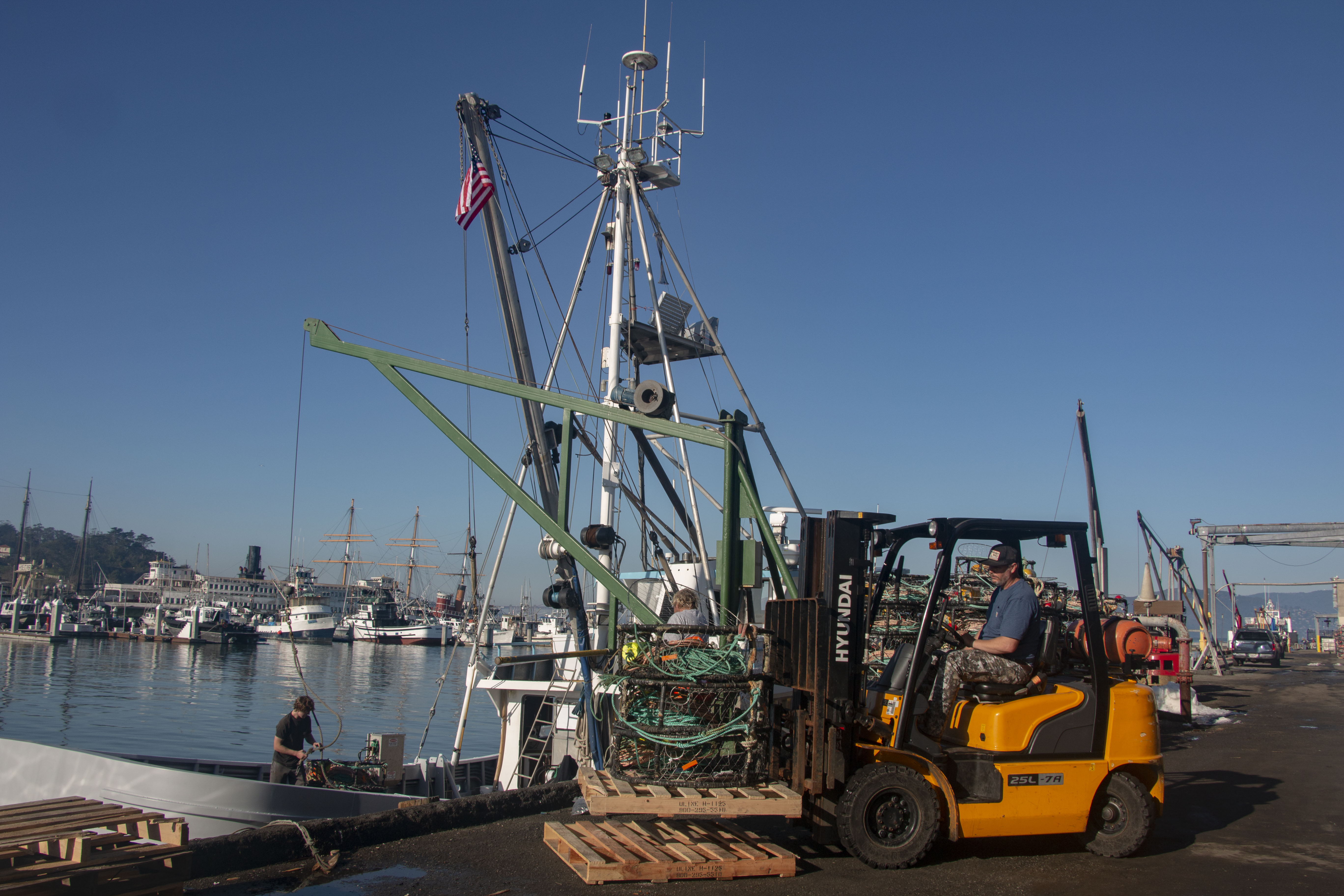 Workers are carrying traps to the ship