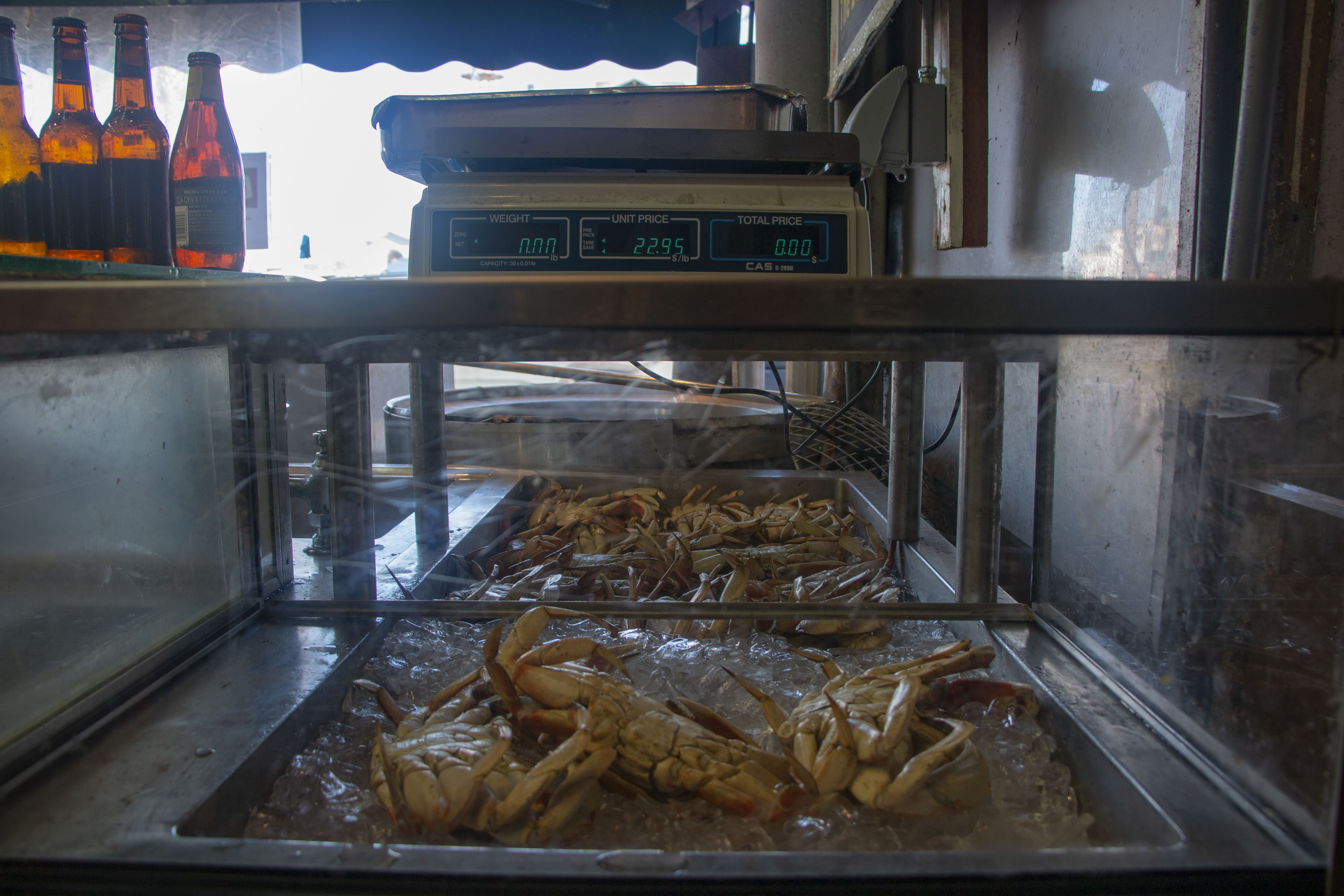 Crabs in the counter of a restaurant